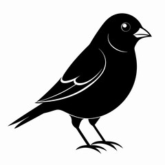 Finchesa Black silhouette