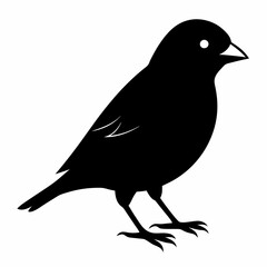 Finchesa Black silhouette