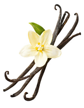 Vanilla sticks with a flower