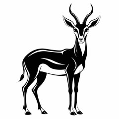 springbok silhouette  , springbok silhouette  vector 