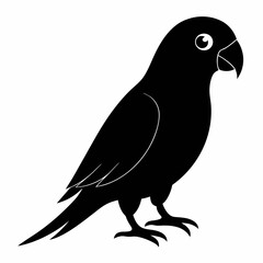 Parakeet Black silhouette