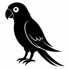 Parakeet Black silhouette