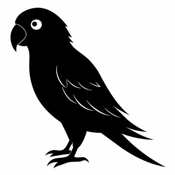 recommend clip art: Parakeet Black silhouette