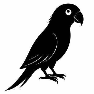 recommend clip art: Parakeet Black silhouette