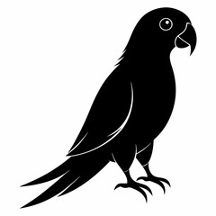Obraz premium Parakeet Black silhouette