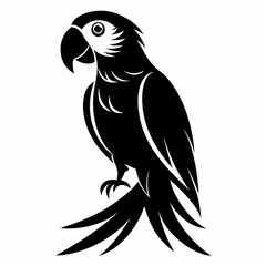 bird, eagle, vector, cartoon, illustration, animal, head, nature, black, wildlife, feather, symbol, tattoo, raven, crow, art, logo, wild, hawk, fly, wings, beak, flying, animals, wing