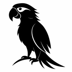 Obraz premium bird, eagle, vector, cartoon, illustration, animal, head, nature, black, wildlife, feather, symbol, tattoo, raven, crow, art, logo, wild, hawk, fly, wings, beak, flying, animals, wing