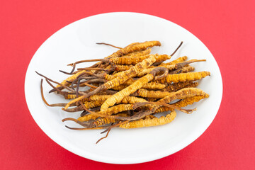 Cordyceps sinensis, a Chinese herbal medicine produced in Tibet, China