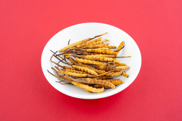 Cordyceps sinensis, a Chinese herbal medicine produced in Tibet, China