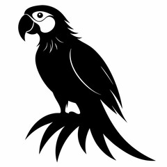 bird, eagle, vector, cartoon, illustration, animal, head, nature, black, wildlife, feather, symbol, tattoo, raven, crow, art, logo, wild, hawk, fly, wings, beak, flying, animals, wing