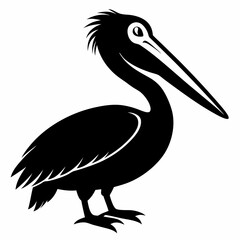 Pelican Black silhouette
