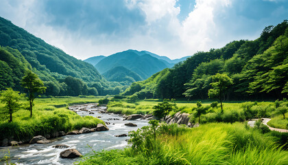 Korean style summer valley