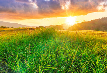 summer of spring landscape of green grass meadow with great beautiful mountains and awersome golden cloudy sunset.