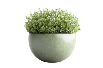 Minimalist green plant in a sleek, round pot against a transparent background. Perfect for home decor, office design, or indoor gardening inspiration.