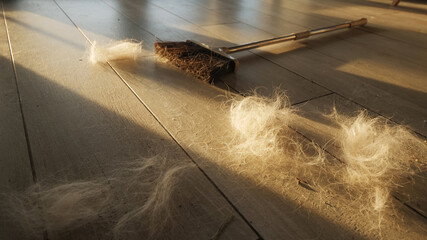 Managing Pet Hair: Broom and Shedding Woes