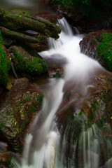 waterfall in the forest