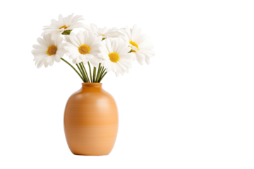 Delicate White Daisies Arranged Beautifully in a Simple Terracotta Vase Sparking Joy in a Sunlit Room on Transparent PNG Background..