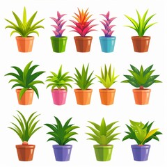 Obraz premium Bromeliad (Bromeliaceae genera) Pot Plant Icon Set, Bromeliaceae genera Plant Flat Design