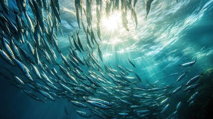 School of Fish Swimming Underneath the Surface of the Ocean