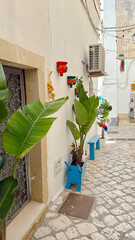 flowers in the street