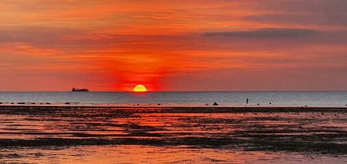 Naklejka premium 바탕가스