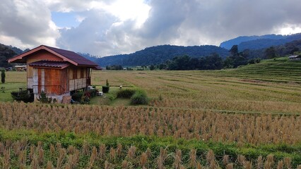 Local village life in the bamboo huts of Northern Thialand