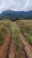 Fototapeta premium Hiking in the stunning landscapes in the mountains and rainforests of Northern Thailand