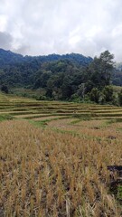 Hiking in the stunning landscapes in the mountains and rainforests of Northern Thailand