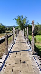 Obraz premium A tea plantation in Northern Thailand