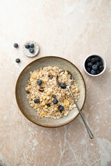 Healthy granola with fresh berries