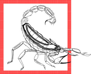 Vector illustration sketch of fish wall decoration design silhouette in box frame for room interior