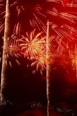 夜空を彩る　きれいな打ち上げ花火