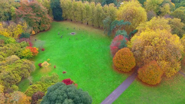 Gorsedd Circle in a grassy clearing in Brute park surrounded by Autumn coloured trees