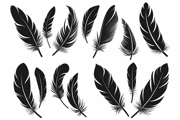Feather icon, animal feathers isolated, black plume symbol, minimal plume silhouette on white