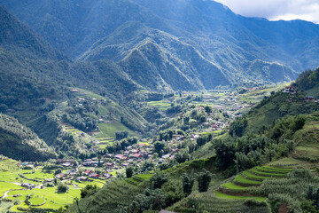 Obraz premium Vallées fertiles région de Sapa, Vietnam