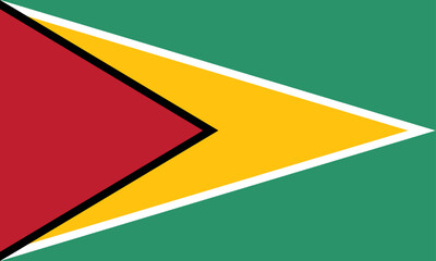 Guyana flag national material design