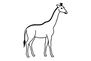 A cute Giraffe vector illustration