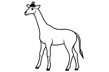 A cute Giraffe vector illustration