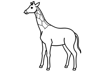Fototapeta premium A cute Giraffe vector illustration