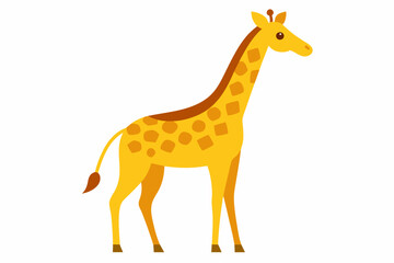 Fototapeta premium A cute Giraffe vector illustration