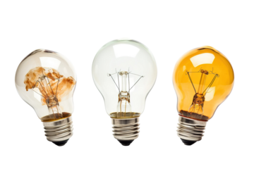 Illuminated Journey: Three Distinct Light Bulbs Showcasing Unique Filament Designs and Textures on a Bright Background on Transparent PNG Background.