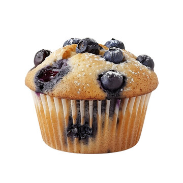 recommend clip art: Blueberry muffin clip art