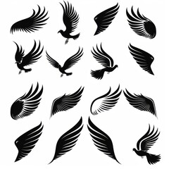 Fototapeta premium Wings flat icon, angel wings emblem, bird feathers minimal silhouette, pigeon sign, spirituality symbol