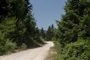 In the mountains of South Pindus, Greece on a summer day