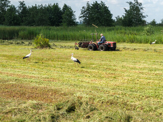 Belt-Schutsloot, Steenwijkerland
