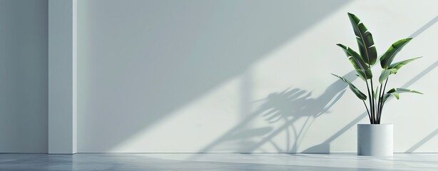 Sunlit room interior framed by open window