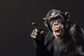 Fotobehang A photo of a smiling chimpanzee pointing with his finger on a black background. The monkey points his finger at the free space. © StokHunt
