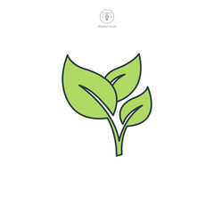 Leaf icon symbol vector illustration isolated on white background