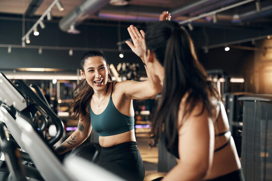 Two fit young women in sportswear laughing and high-fiving each other after a cardio workout class on stationary bikes in a health club