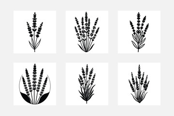 Timeless Lavender Flower Silhouettes for Every Room
